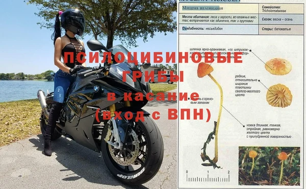 MESCALINE Володарск